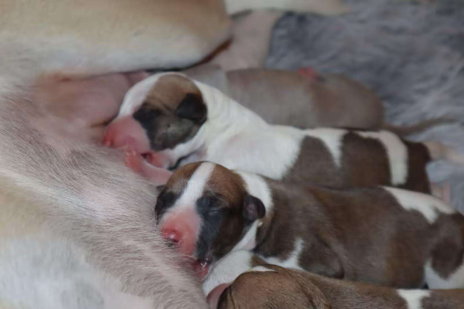 Foto de Abril
