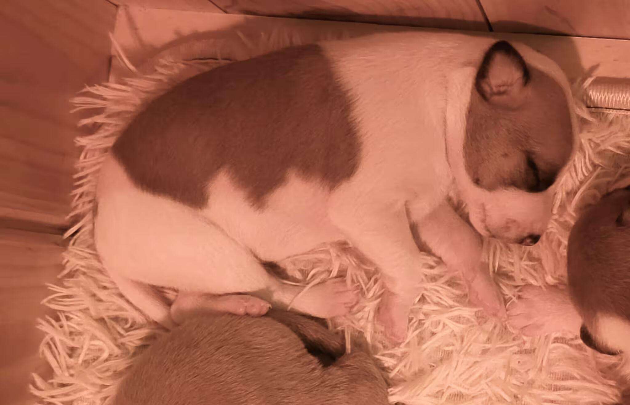 Foto de Abril