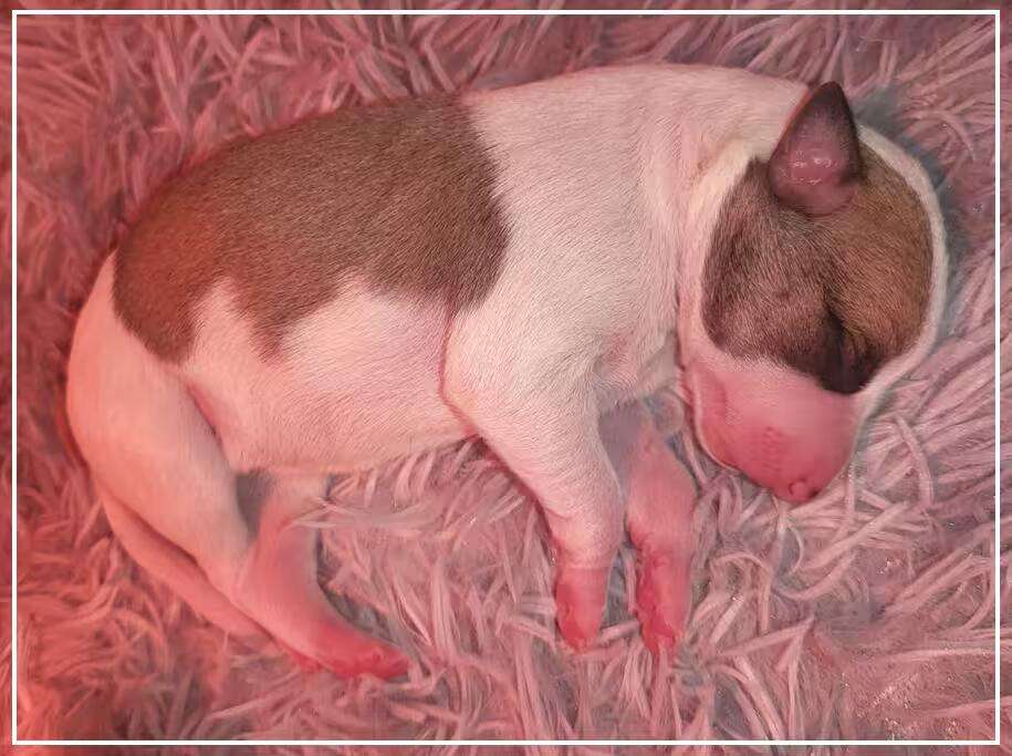 Foto de Abril