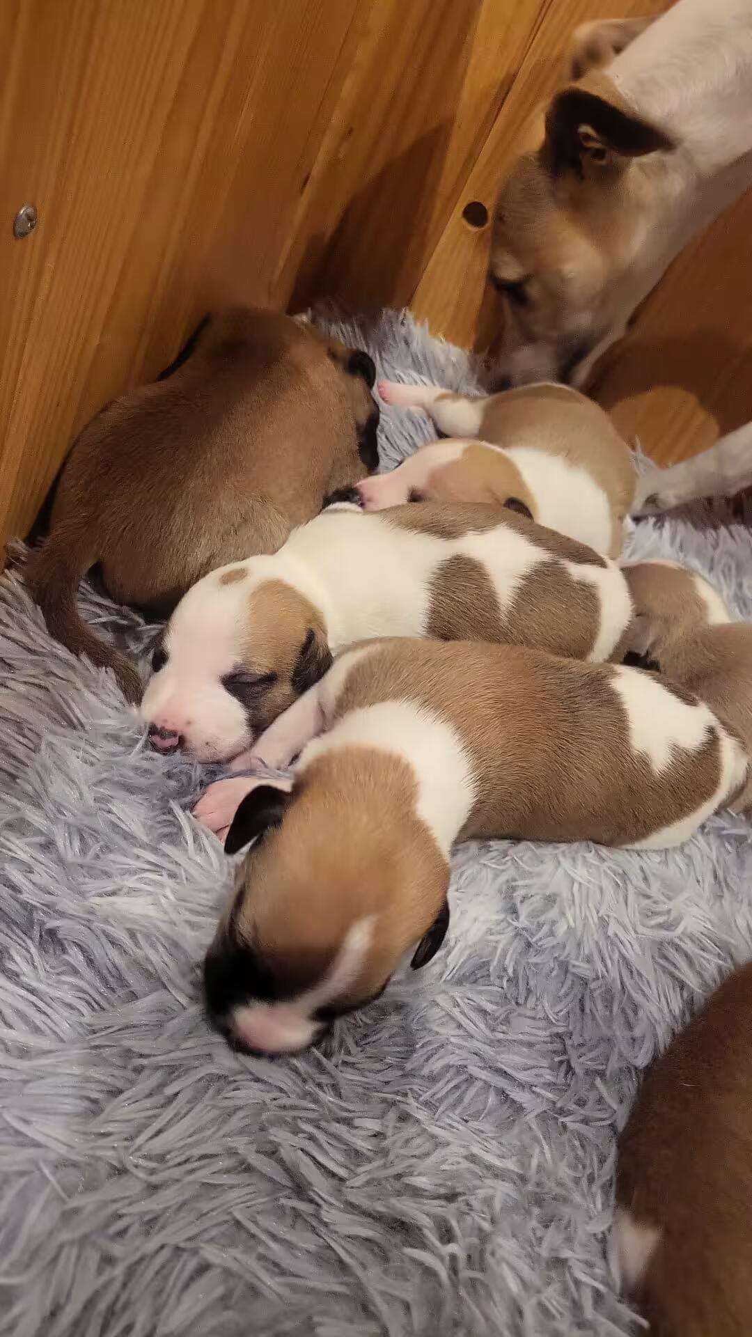 Foto de Abril
