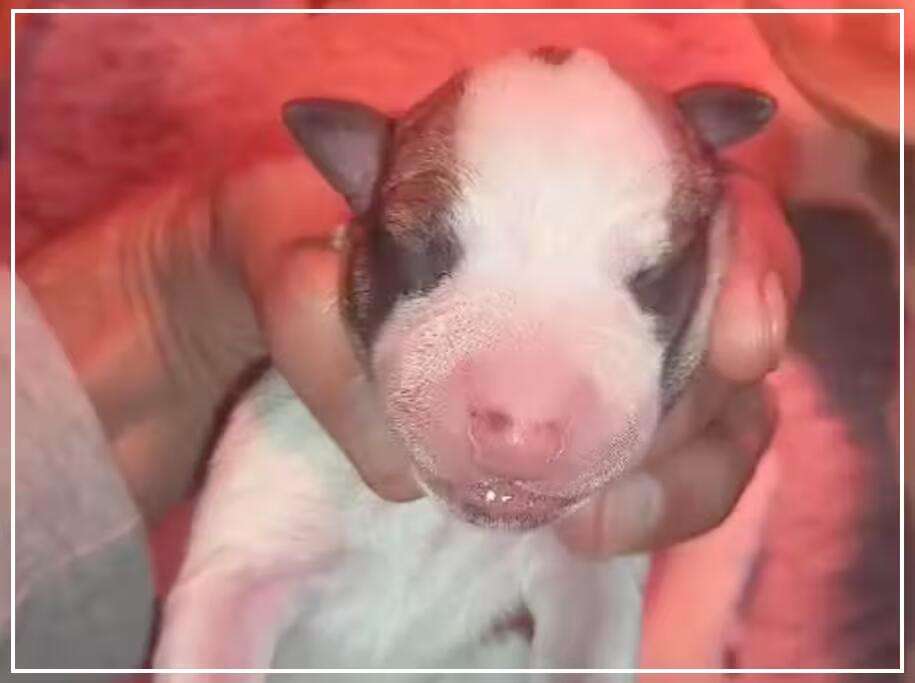 Foto de Abril