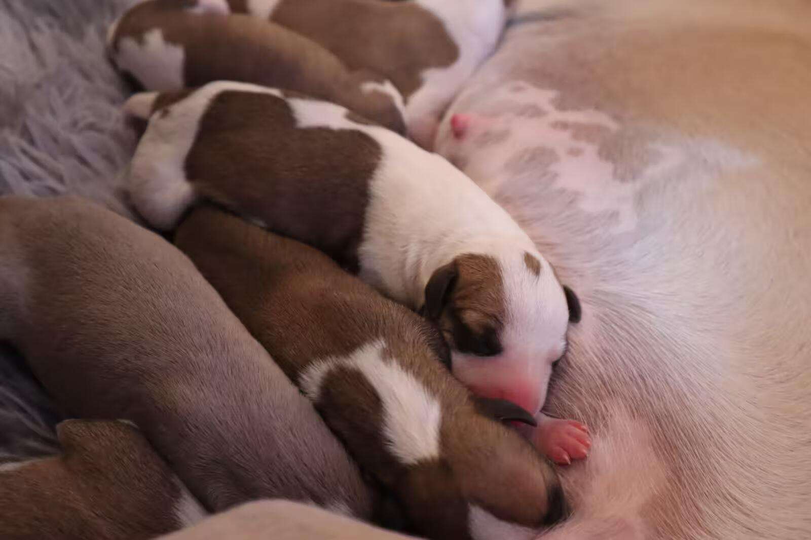 Foto de Abril
