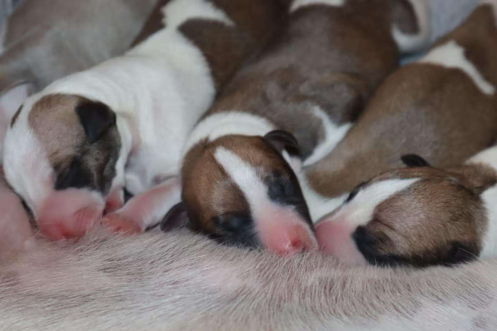 Foto de Abril