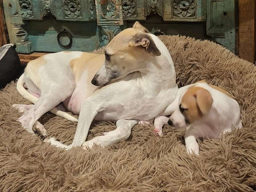 Foto de Abril