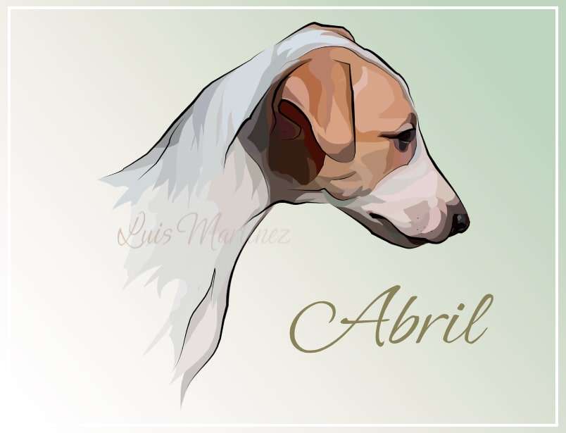 Foto de Abril