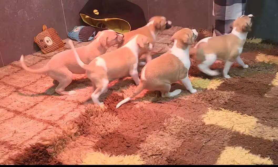 Foto de Abril