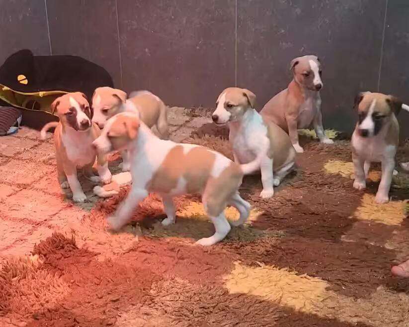 Foto de Abril