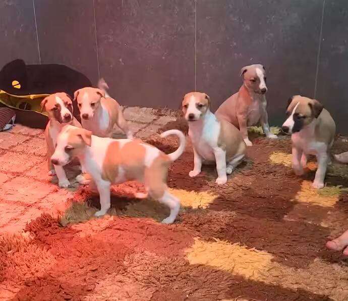 Foto de Abril