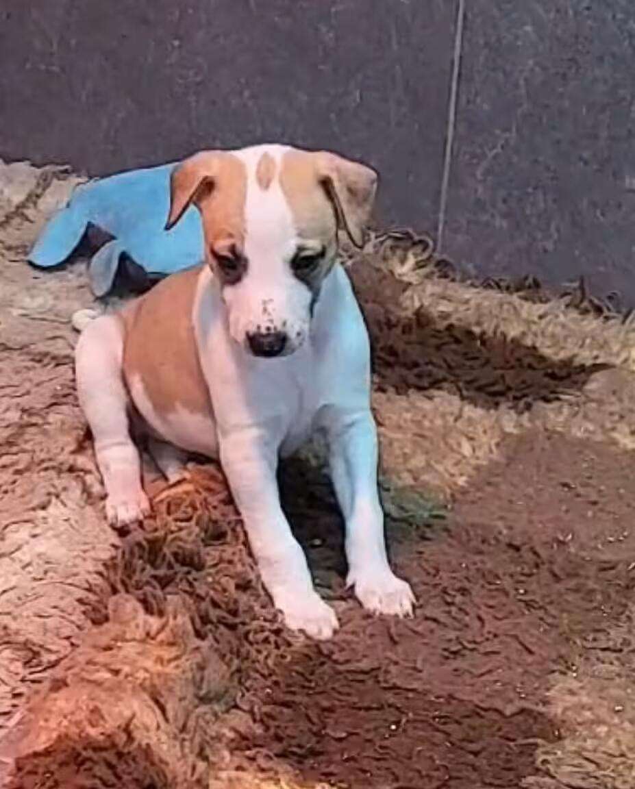 Foto de Abril