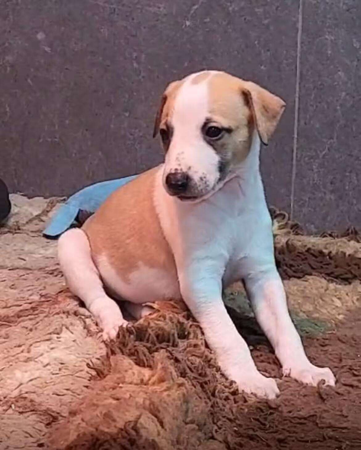 Foto de Abril