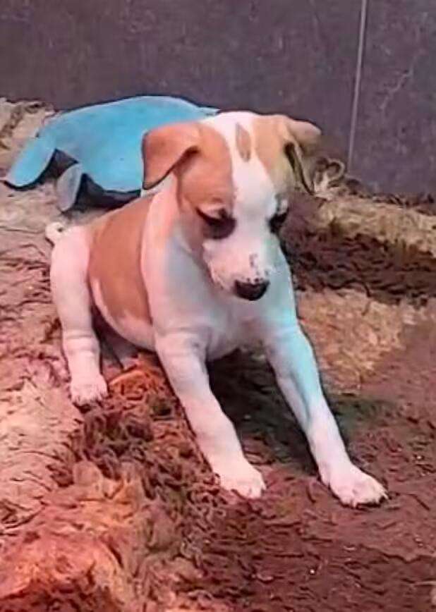 Foto de Abril