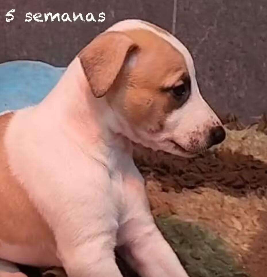 Foto de Abril