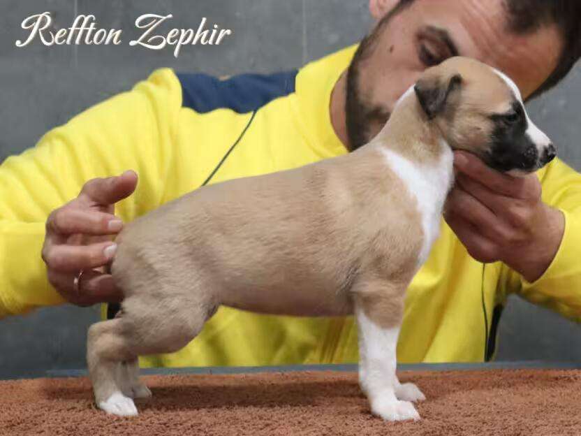 Foto de Abril