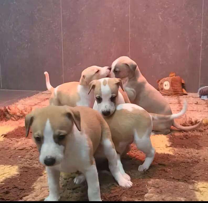 Foto de Abril