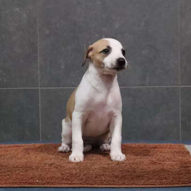 Foto de Abril