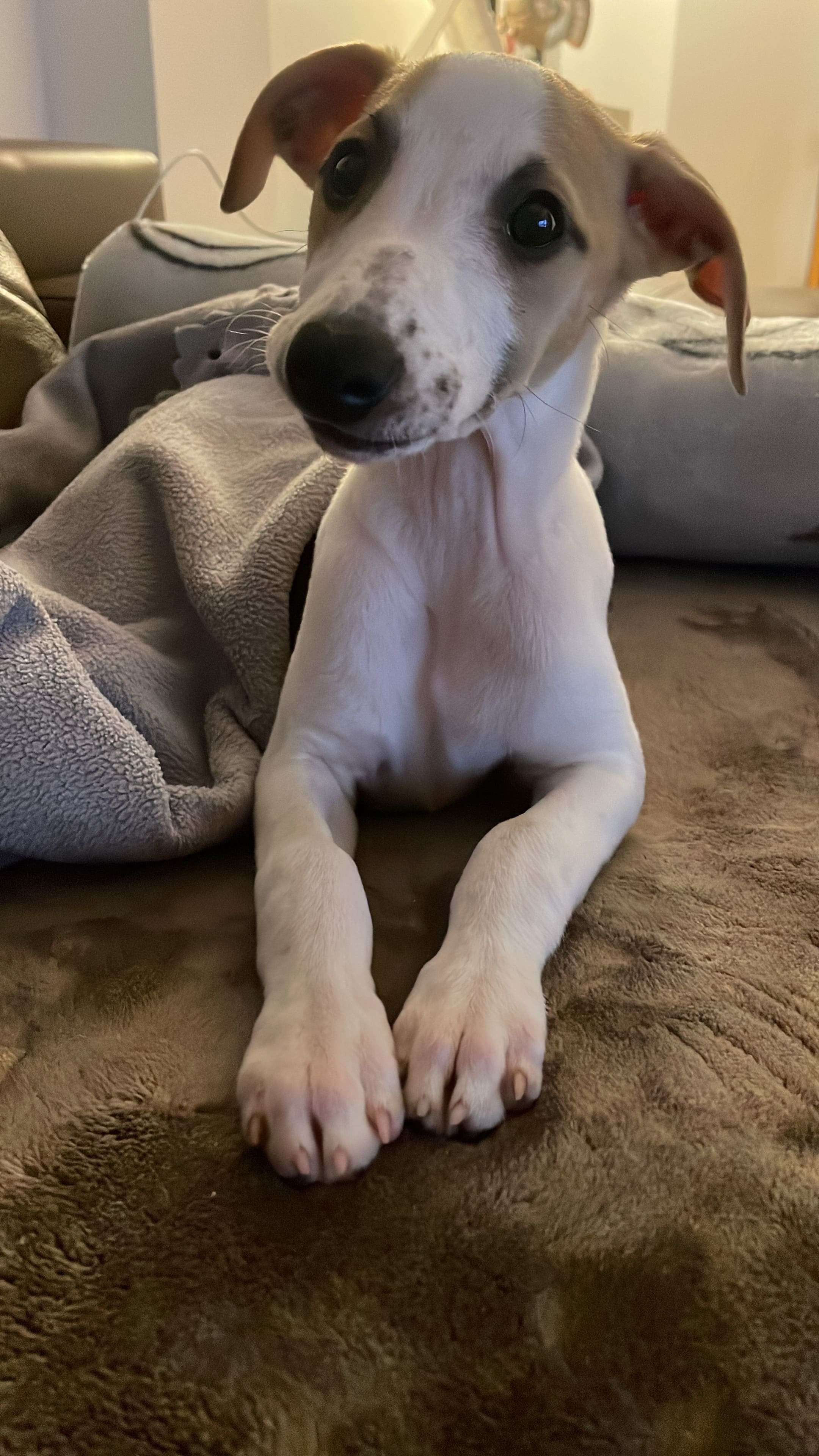 Foto de Abril