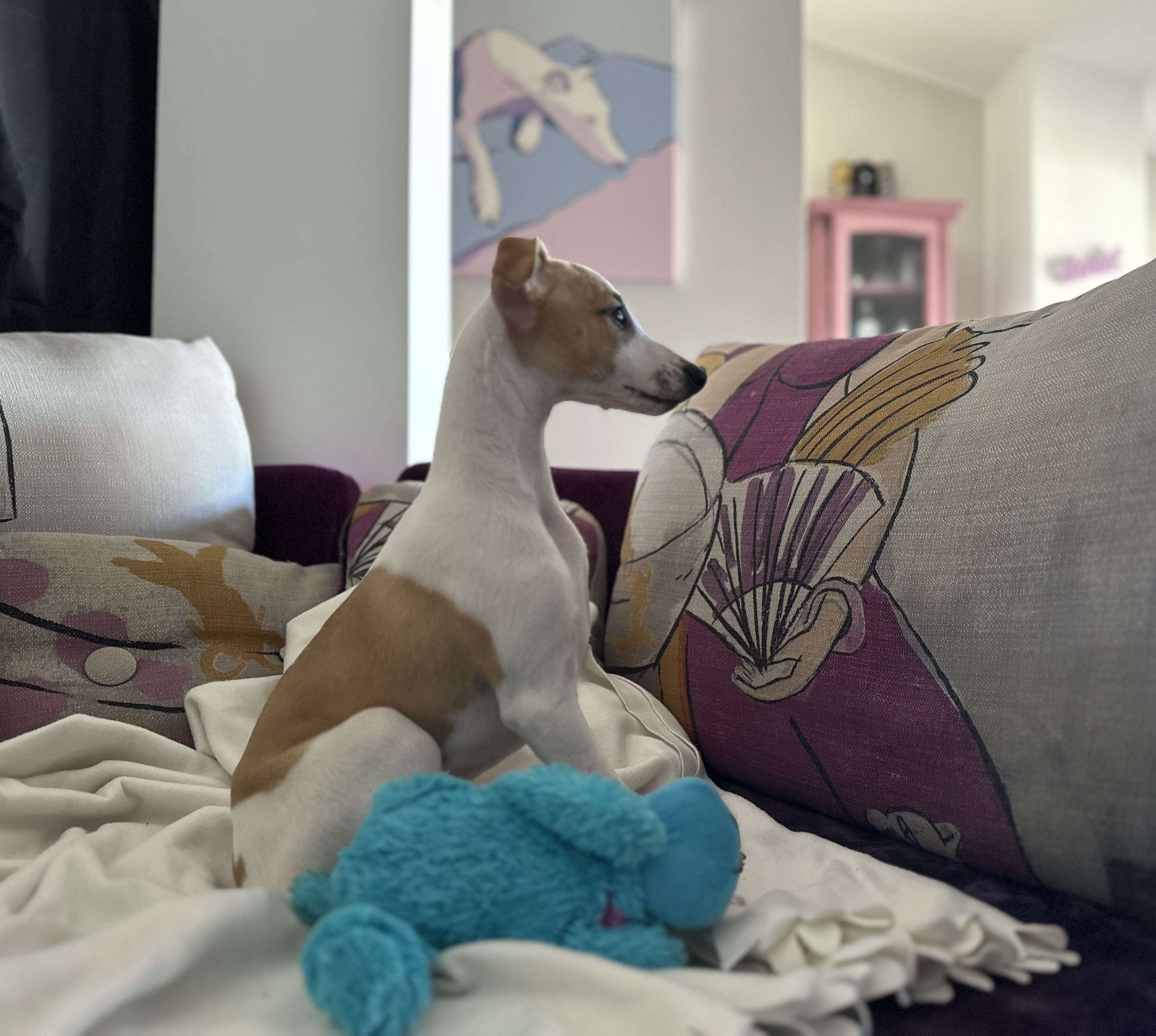 Foto de Abril