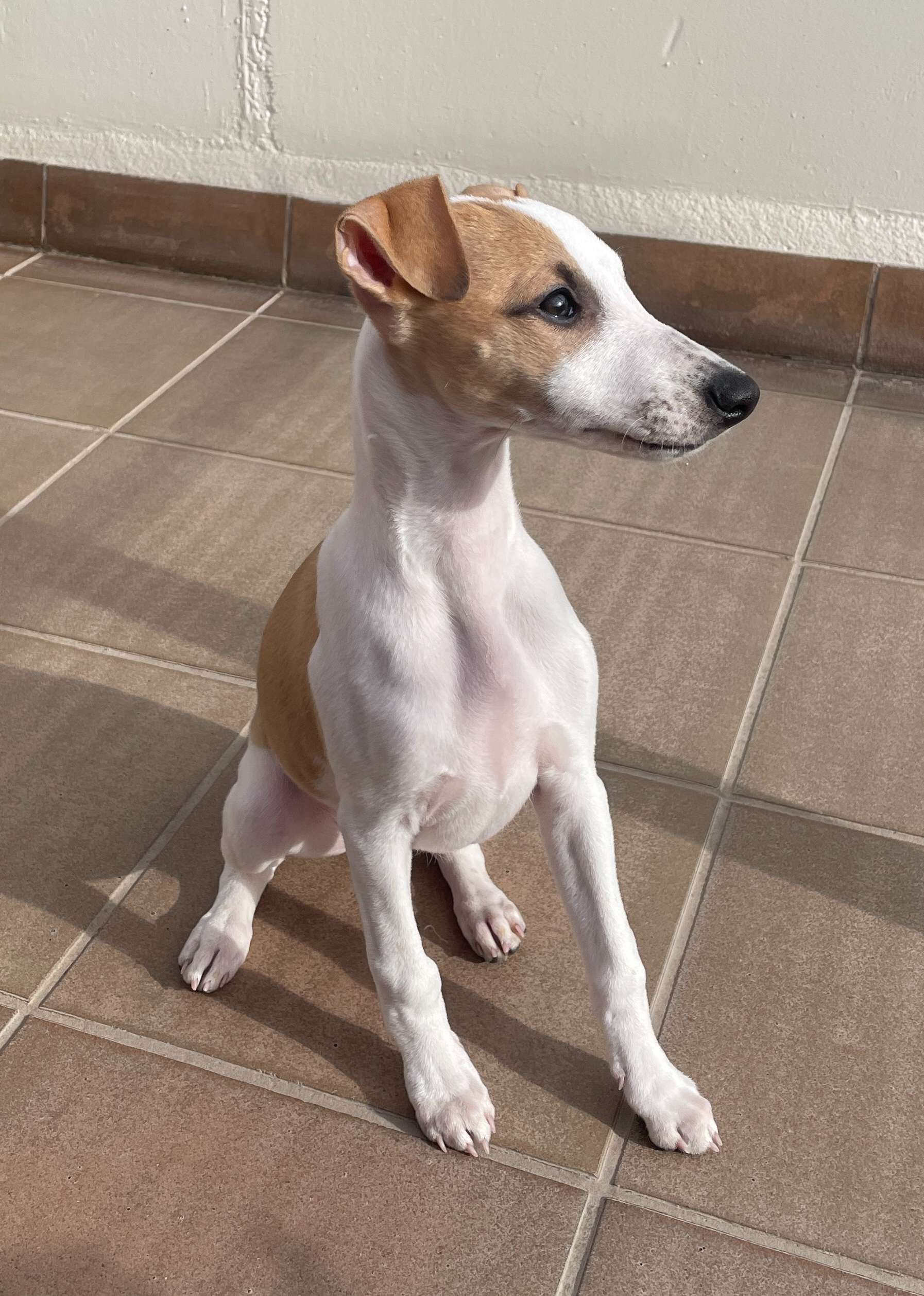 Foto de Abril